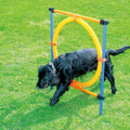 PAWISE Dog Agility Training Equipment, Puppy Agility Kit by PAWISE