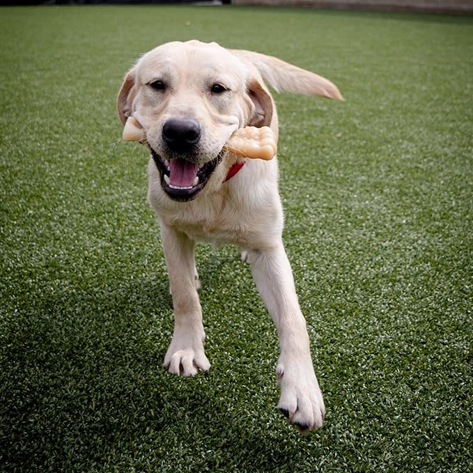 Nylabone Textured Knuckle Bone Power Chew Toy - Image 3