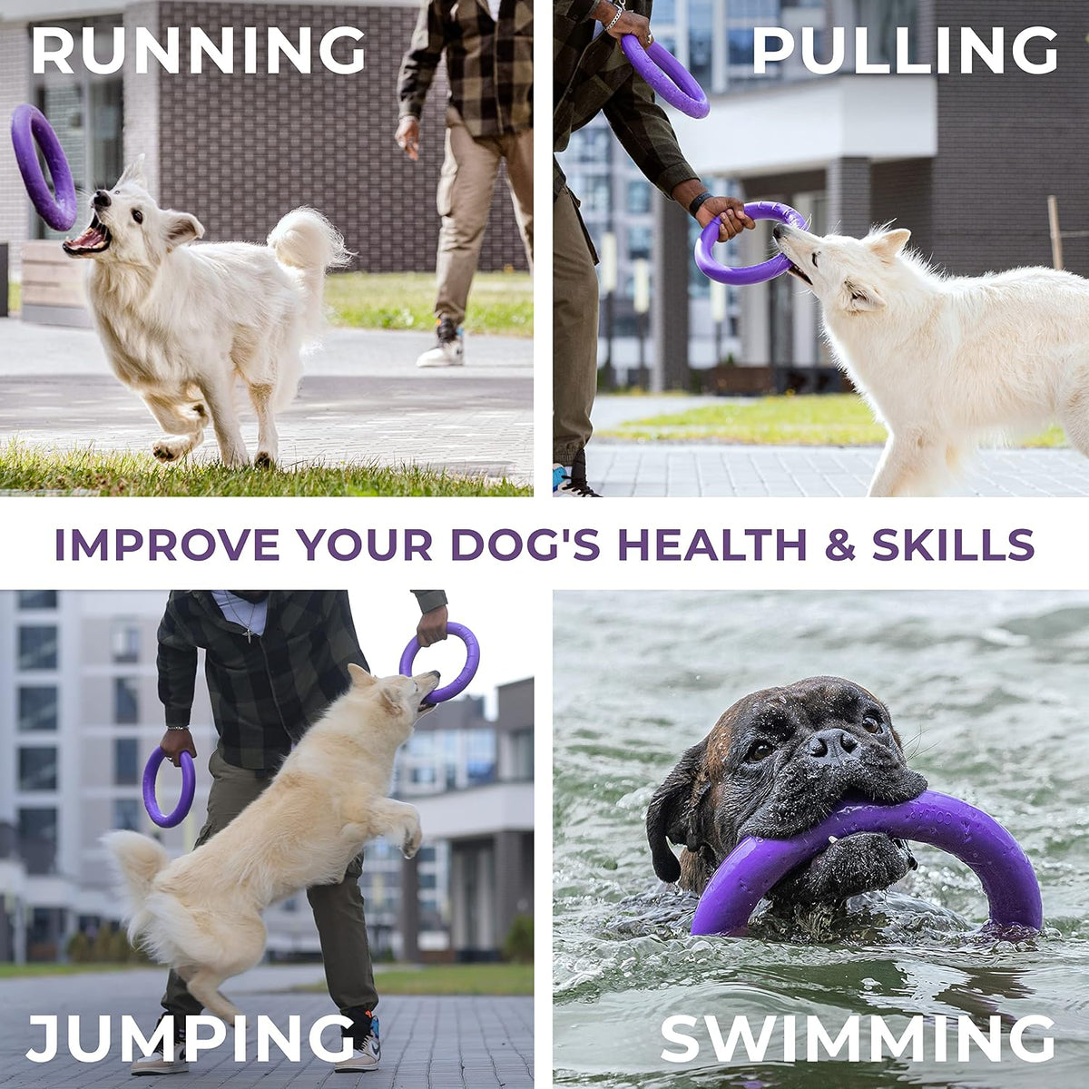 COLLAR Puller Dog Toy Ring for Small Medium Large Dogs Fetch Floating Disc