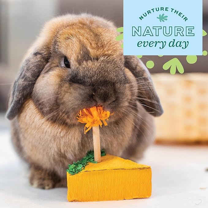 Oxbow Enriched Life Birthday Party Pack, Rabbit & Guinea Pig Toys, Enrichment - Image 7