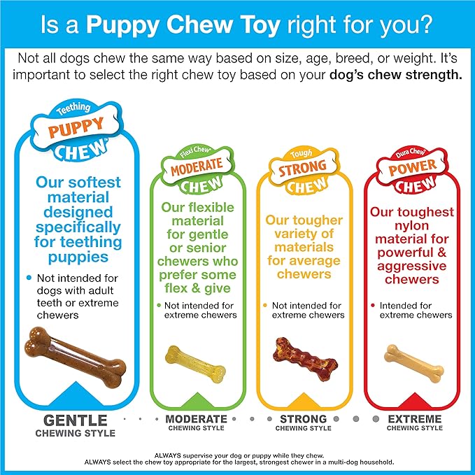 Nylabone Double Action Bone Puppy Chew Toy, Rubber Teething Toys - Image 10