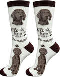 E&S Pets Pet Lover Socks by ESPETS