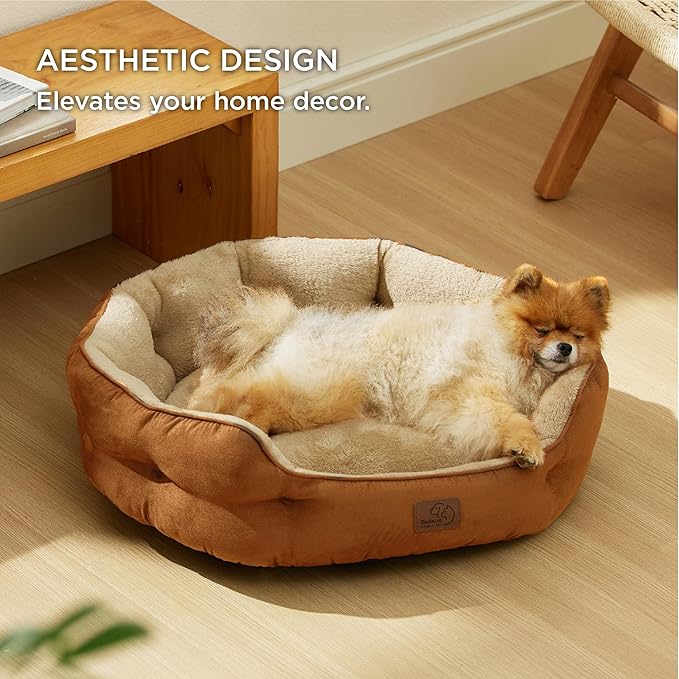 Bedsure Dog Beds for Small Dogs - Image 5