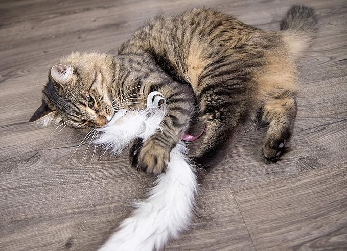 SmartyKat Chitter Critter Squirrel Electronic Sound Plush Kicker Cat Toy - Image 6