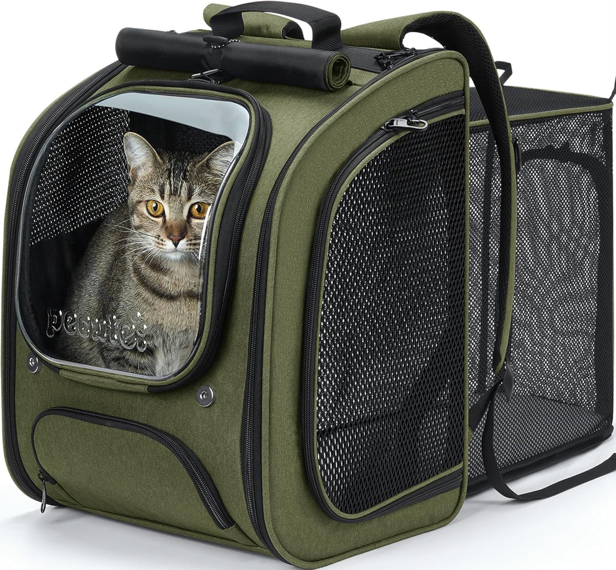 Pecute Cat Backpack Carrier,Cat Bubble,12.6" L x 10.2" W x 16.5" H,Green