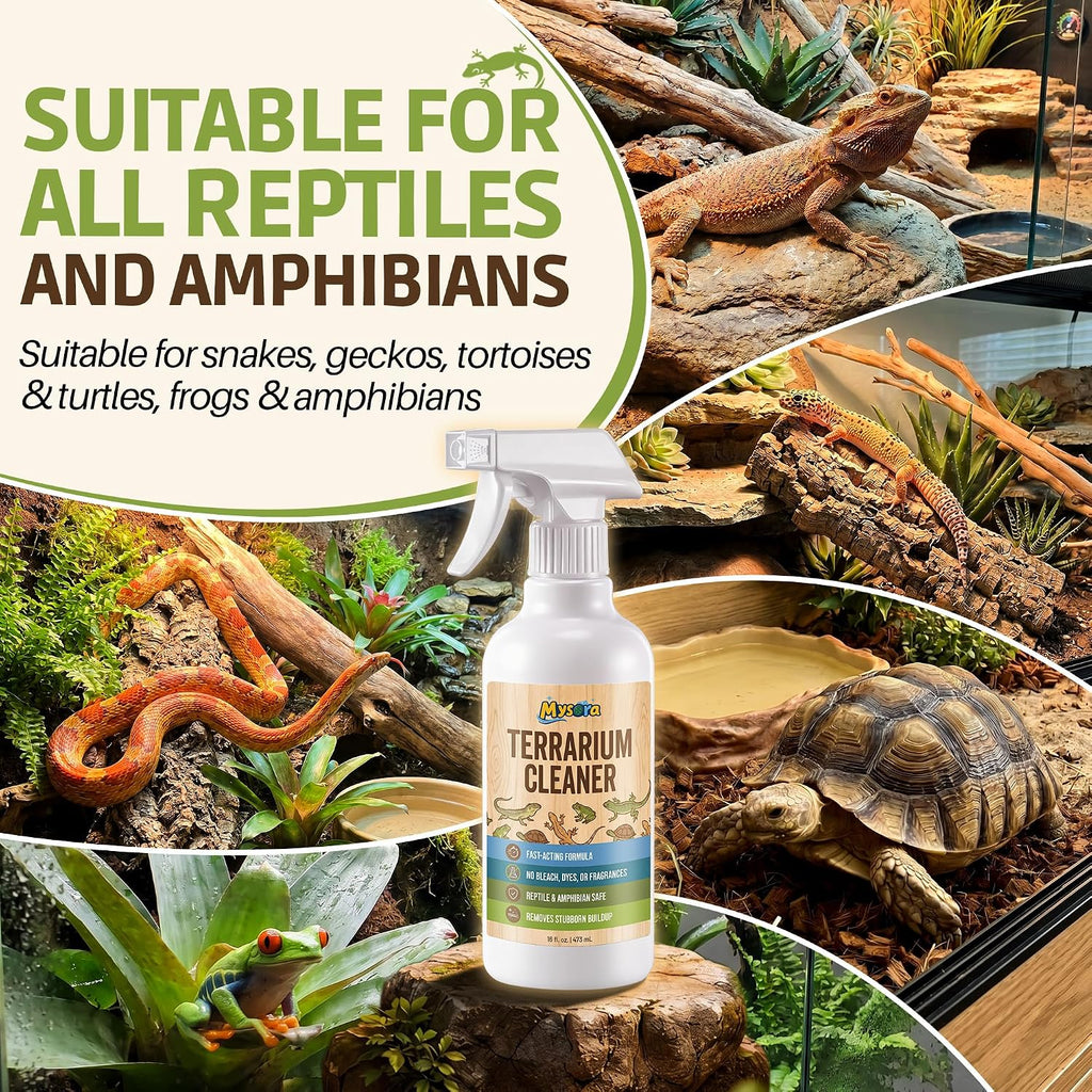 Bearded Dragon Tank Cleaner Kit with Brush, 16oz