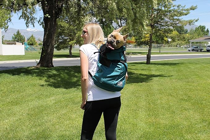 K9 Sport Sack Trainer - Image 7