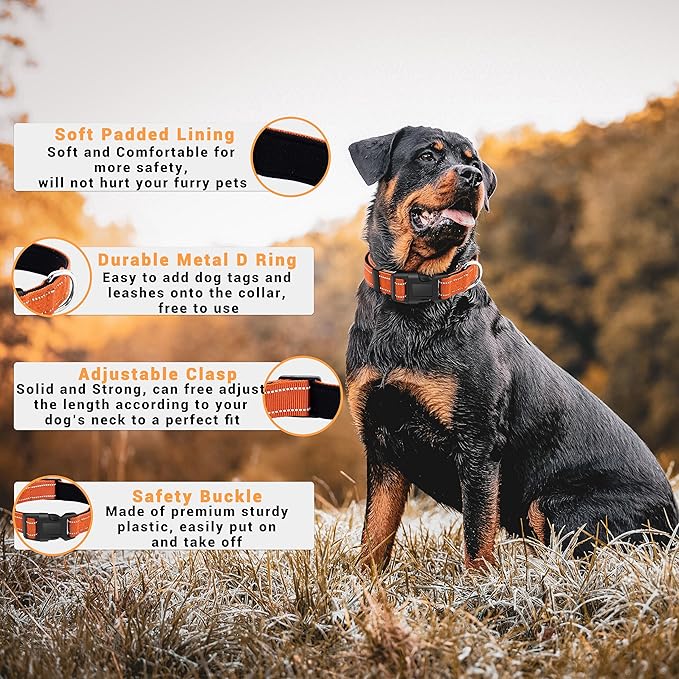 2 Pack Reflective Dog Collar - Image 2