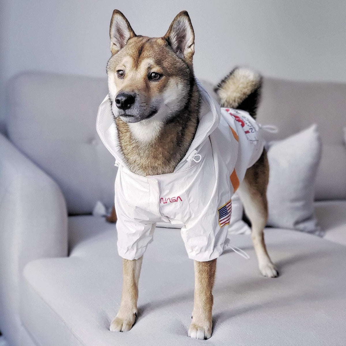 ChoChoCho NASA Dog Raincoats, Reflective Rain Jacket Water Proof, Dog Clothes, Cat & Puppy Stylish Streetwear Outfit (White, S)