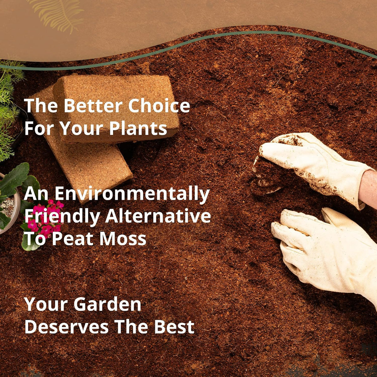 Coco Coir 250gm Bricks (10-Pack) - Organic Coco Coir for Plants & Gardening - OMRI-Listed Cocopeat for Garden Soil, Seed Starter Soil, & Mulch - Organic Coconut Bricks - Coconut Fiber Potting Mix