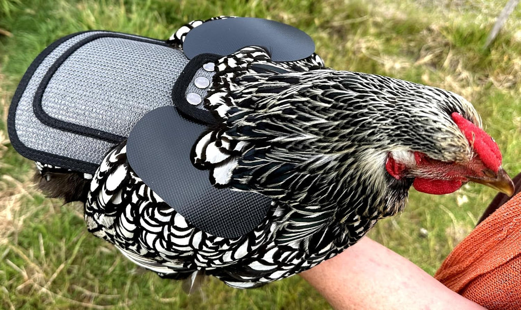 DOWN UNDER OUTDOORS Medium-Large Chicken Saddle Hen Apron Saver (Gray Mesh)