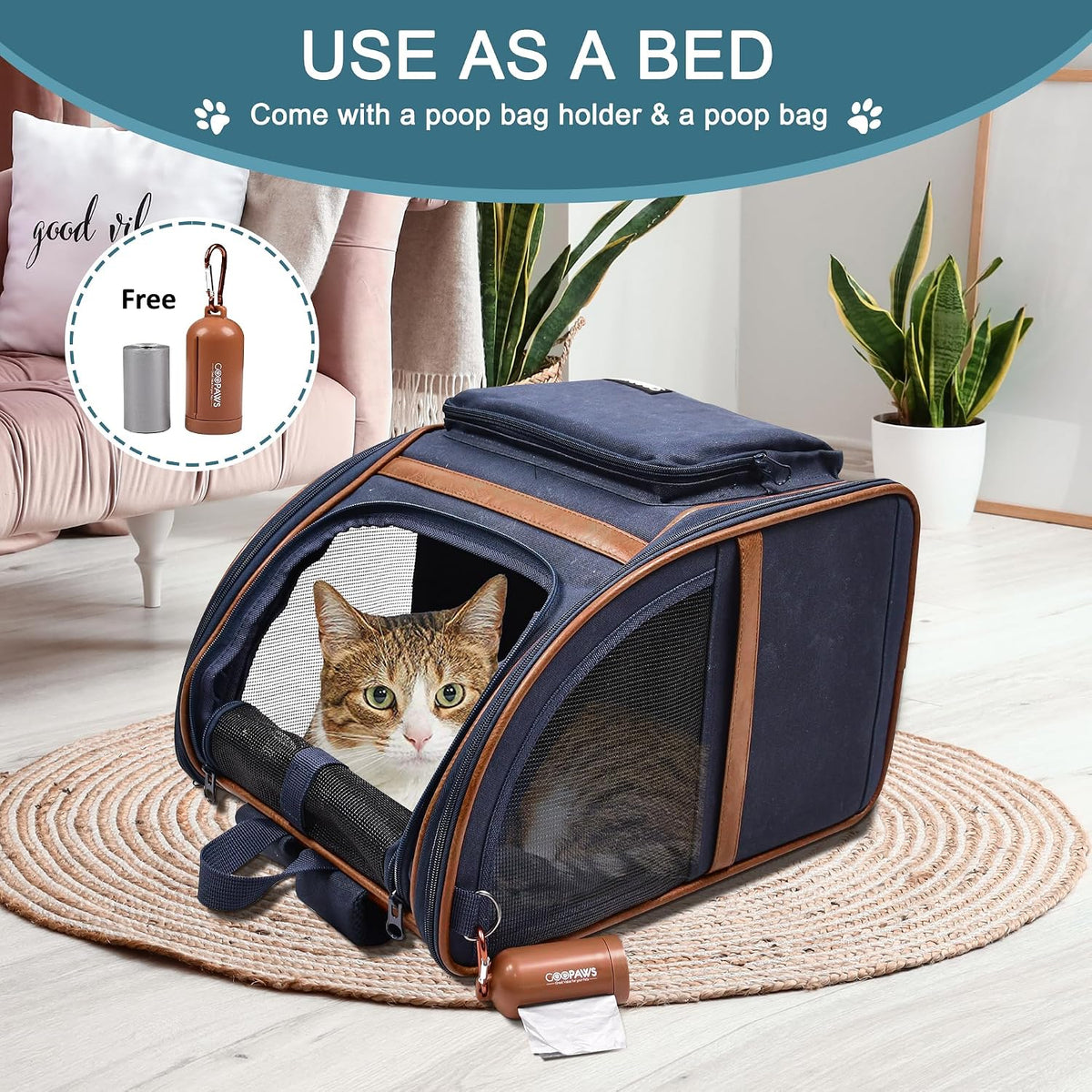 Jespet Pet Backpack Carrier for Small Dog, Soft Car Bed Ideal for Traveling