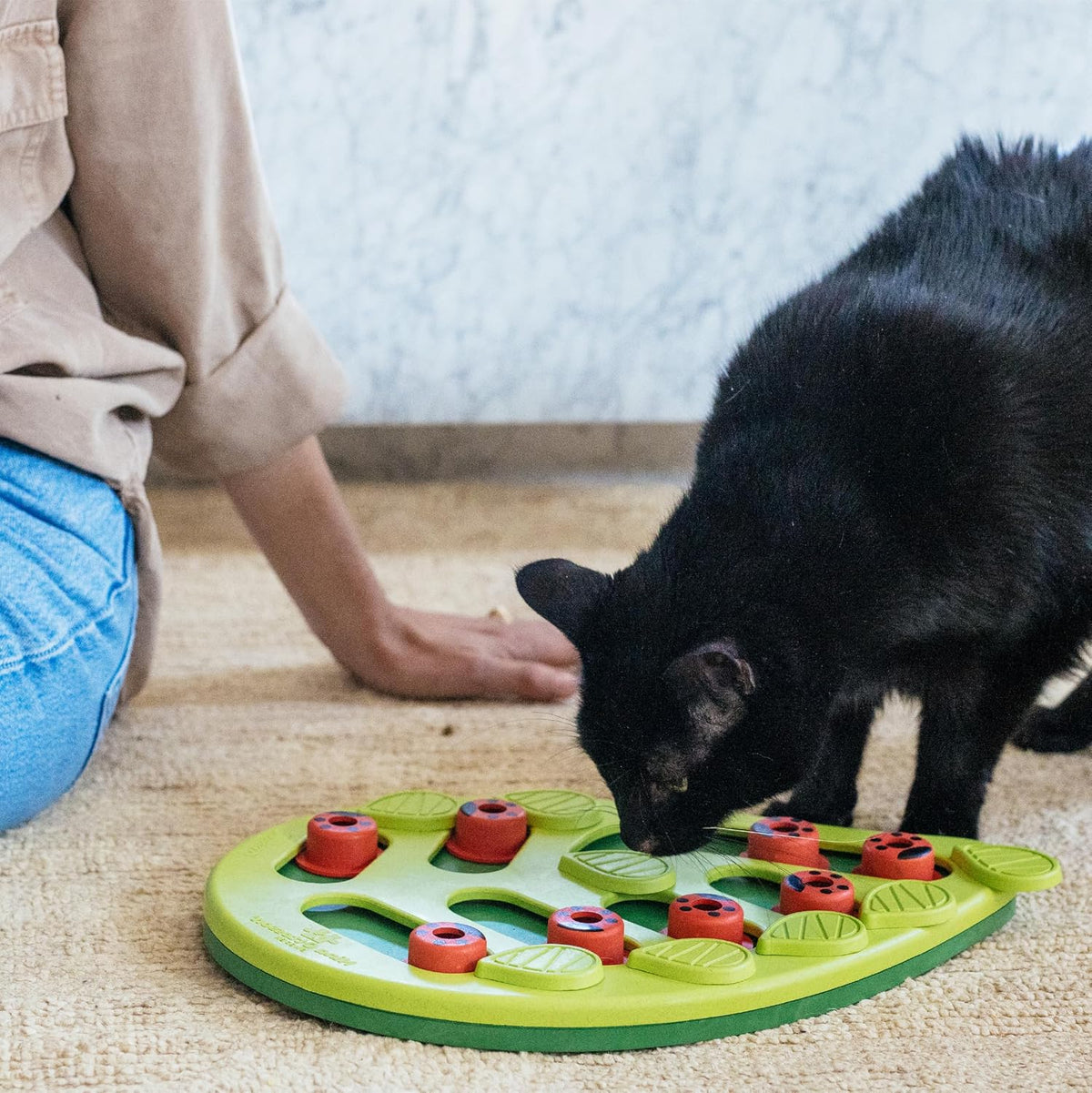 Catstages Nina Ottosson Buggin’ Out Puzzle & Play Cat Toy Treat Puzzle, 14"