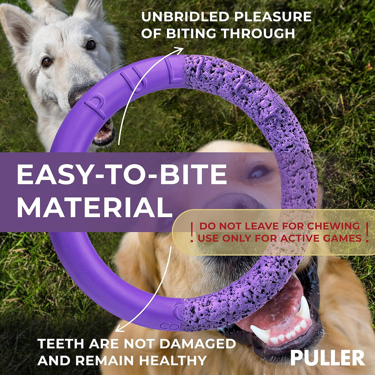 COLLAR Puller Dog Toy Ring for Small Medium Large Dogs Fetch Floating Disc