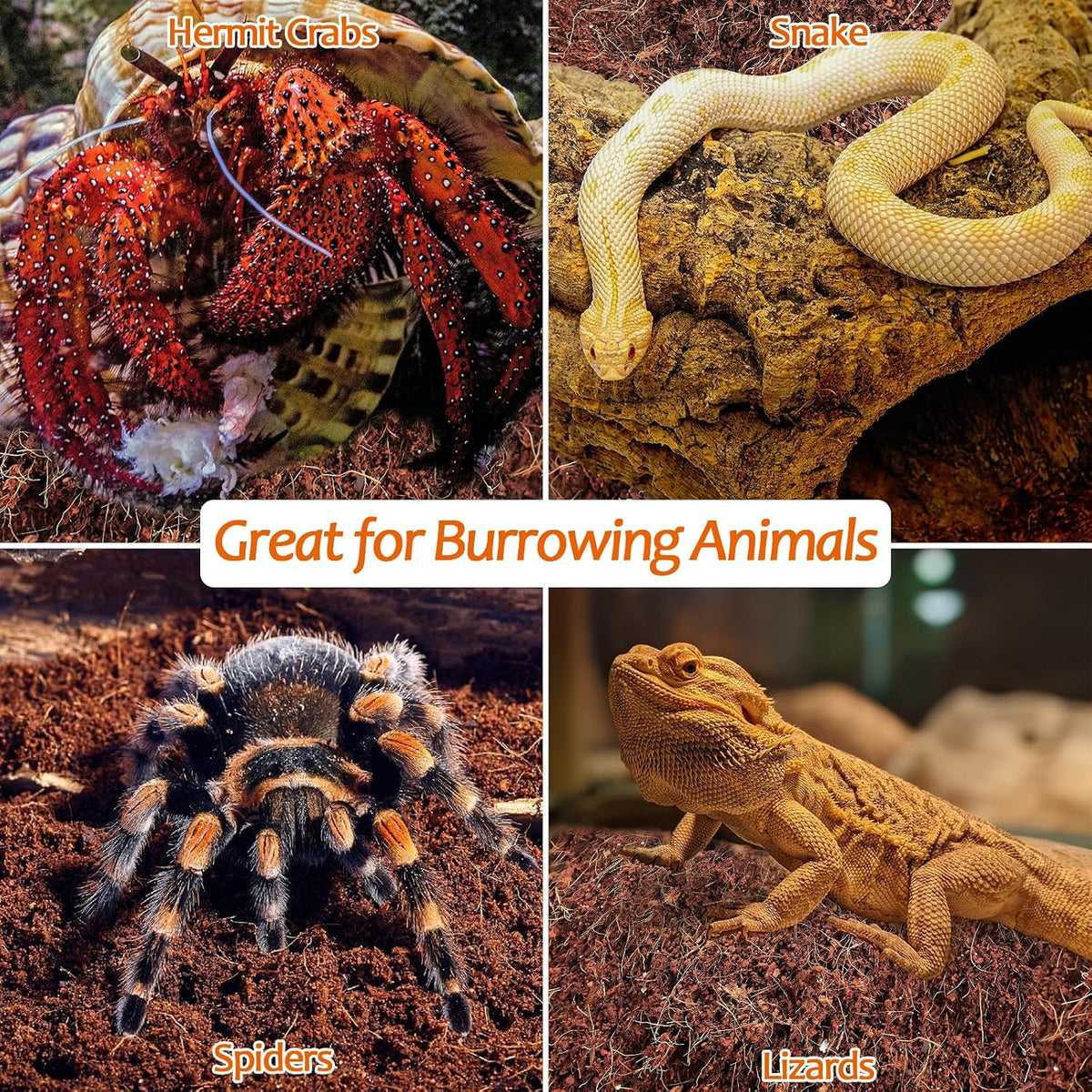 Riare 2 Pack Natural Coconut Fiber Substrate, Coco Coir Reptile Bedding