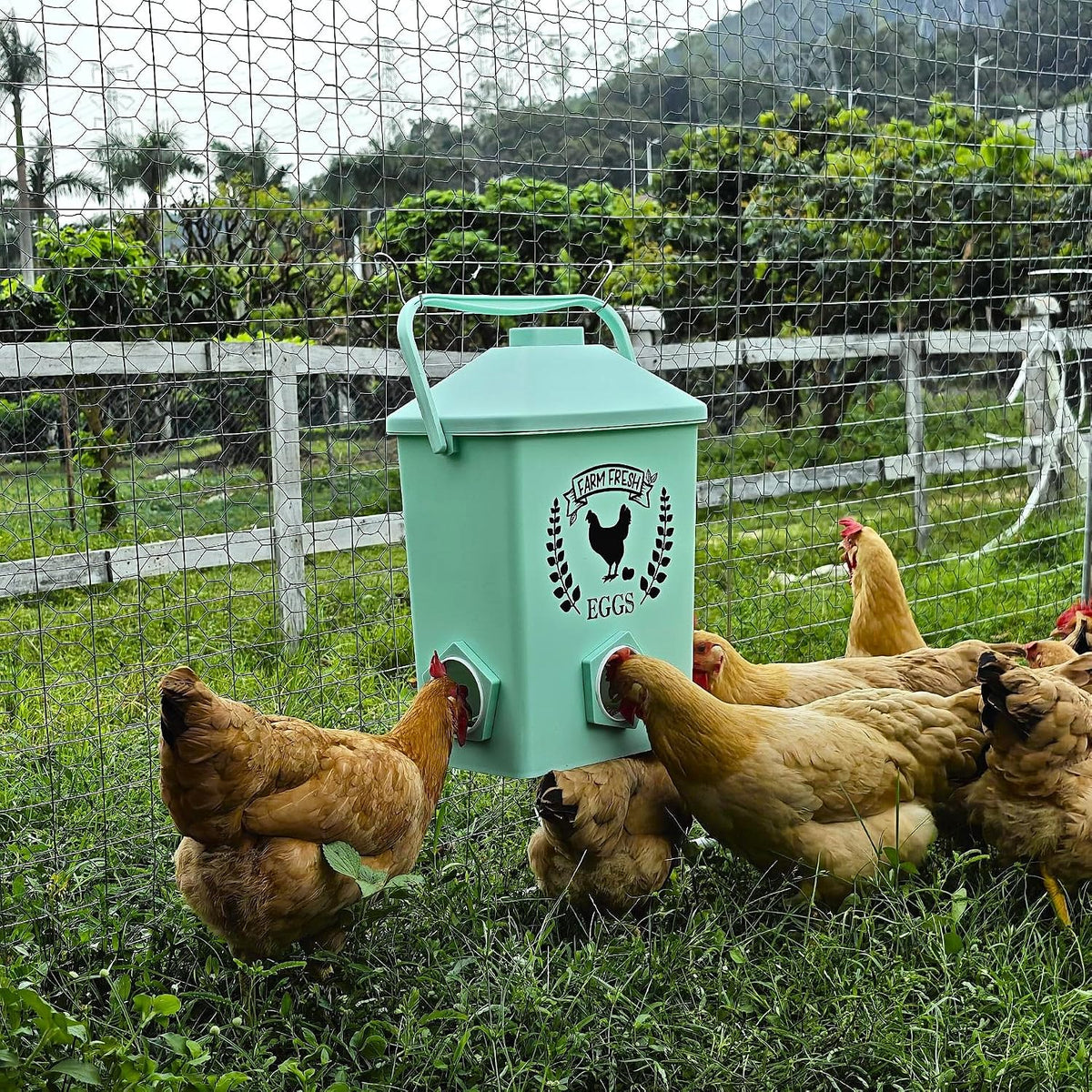 ‎Tgeyd 2-Pack Hanging Chicken Feeder with Chicken Coop Accessories