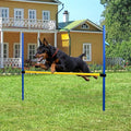 Pet Prime Dog Agility Training Equipment by PetPrime