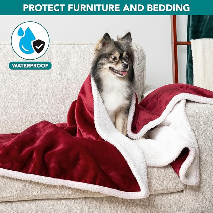 PetAmi Waterproof Dog Blanket for Small Medium Dog Puppy Cat Throw for Couch - Image 2