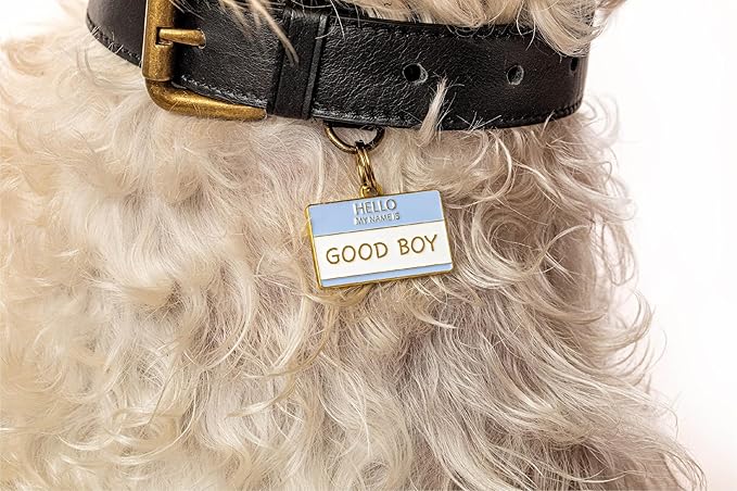 Two Tails Pet Company Personalized 'Good Boy' Pet ID Tag & Collar Charm - Image 4