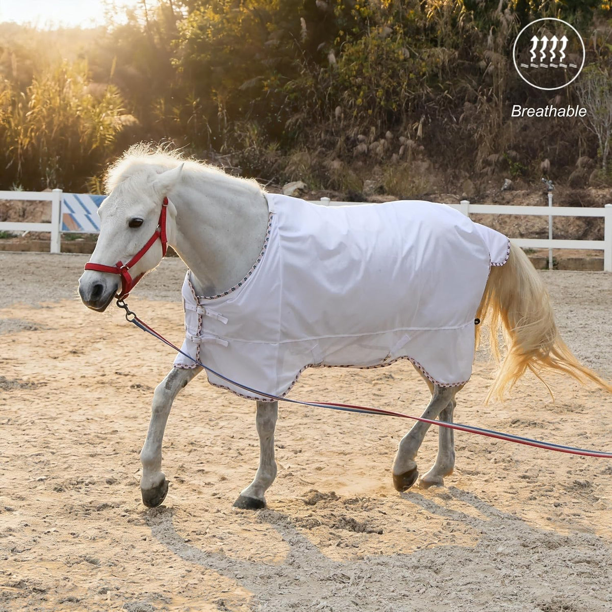 BARN & STABLE Breathable and UV Protective Tear-Resistant Mesh Horse Fly Sheet Comfy Equine Summer Sheet with Removable Web Leg Straps