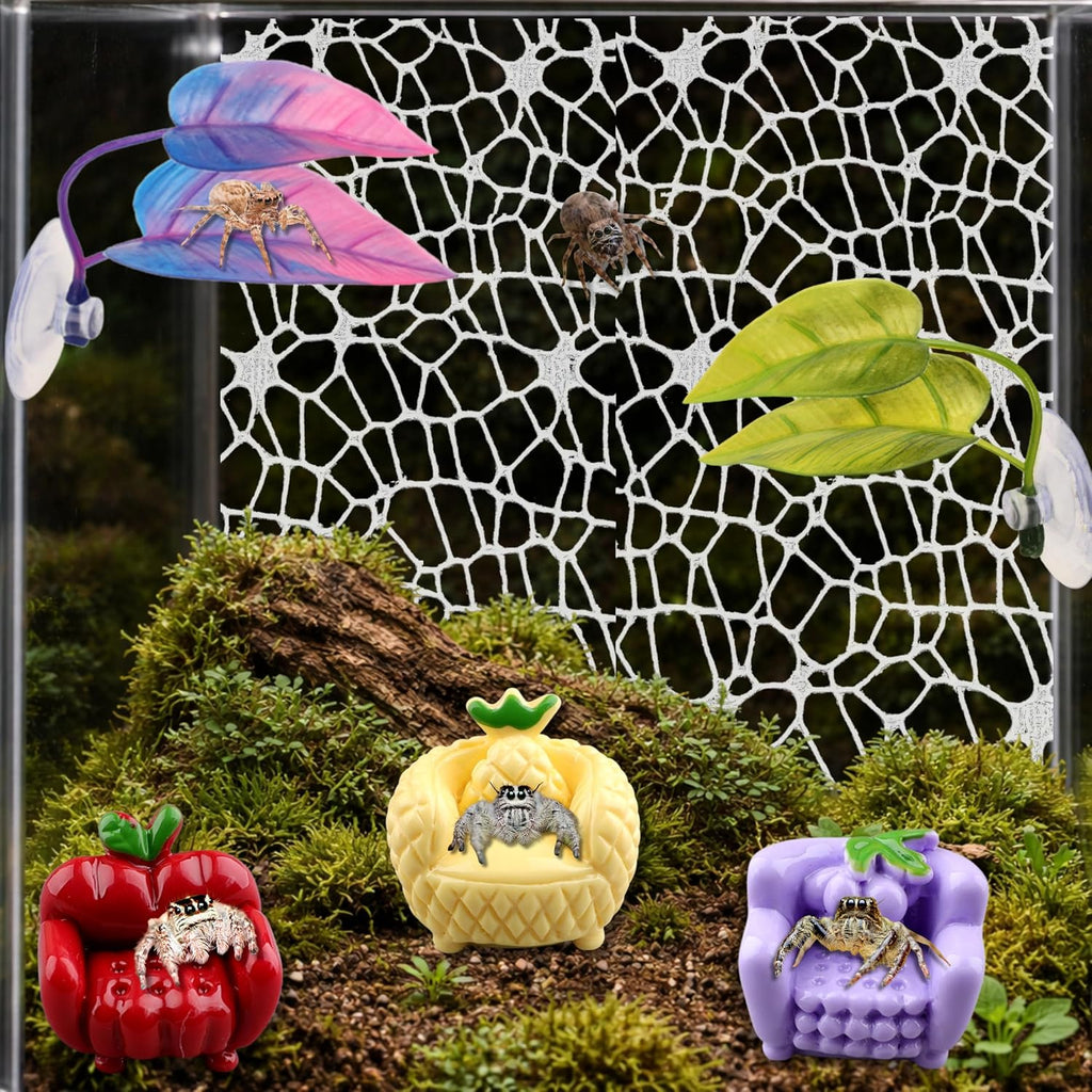 Jumping Spider Terrarium Enclosure Decor Decorations, Climbing Web with 3pcs Fruit Chairs and 2pcs Leaf Ledge, Enclosure Climbing Accessories, Mini Terrarium Decorations Kit