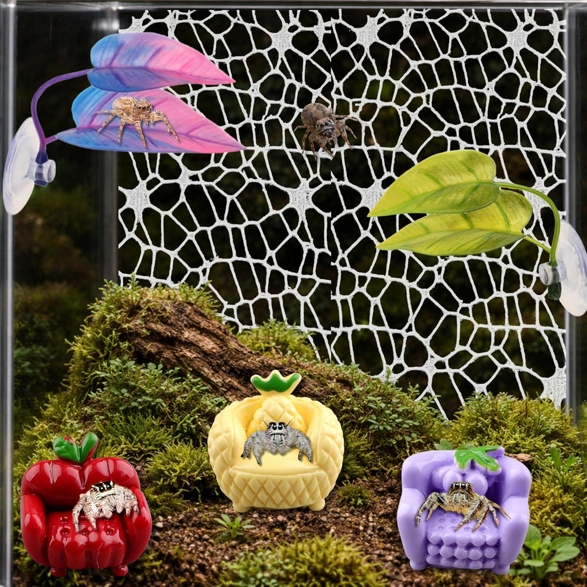 Jumping Spider Terrarium Enclosure Decor Decorations, Climbing Web with 3pcs Fruit Chairs and 2pcs Leaf Ledge, Enclosure Climbing Accessories, Mini Terrarium Decorations Kit