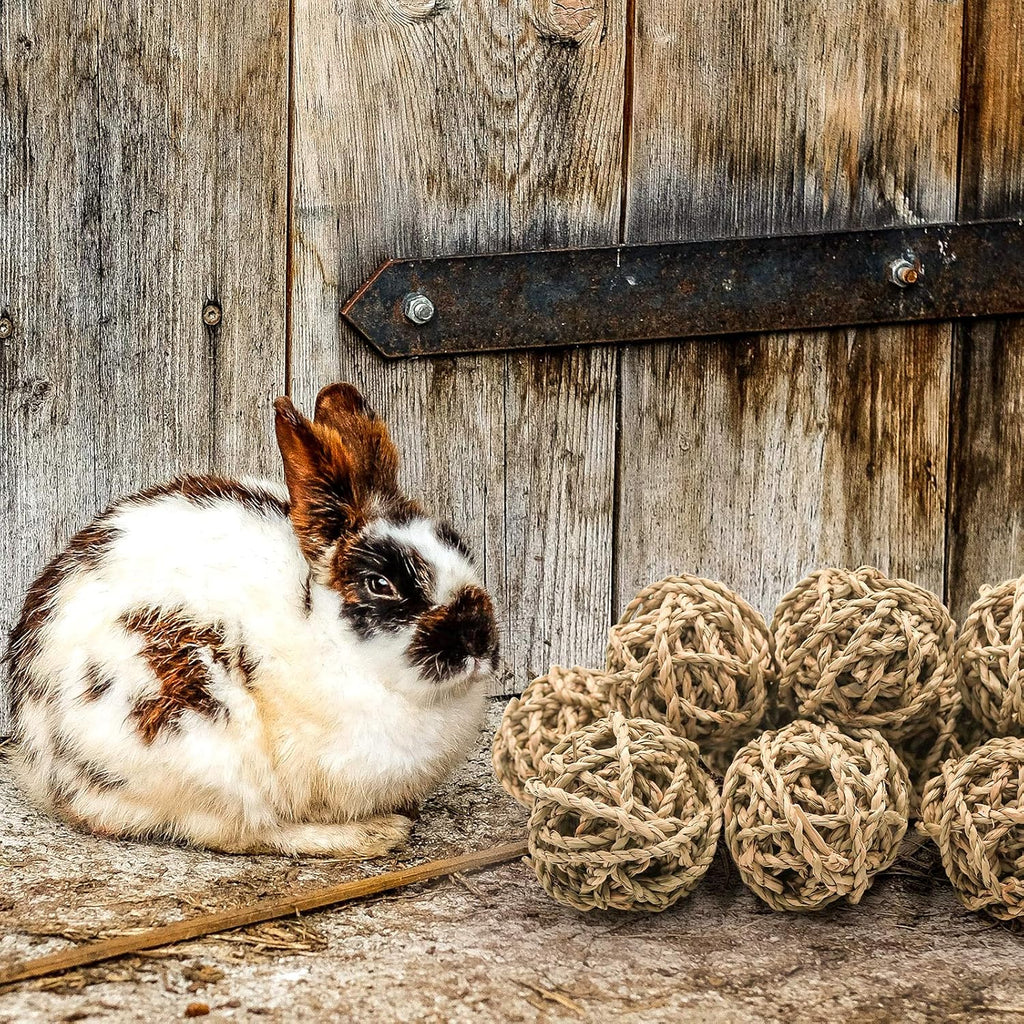 10 Pcs Small Animals Play Balls Rolling Activity Chew Toys Gnawing Treats for Rabbits Guinea Pigs Chinchilla Bunny Natural Balls, Pet Cage Entertainment Accessories(10Pcs)