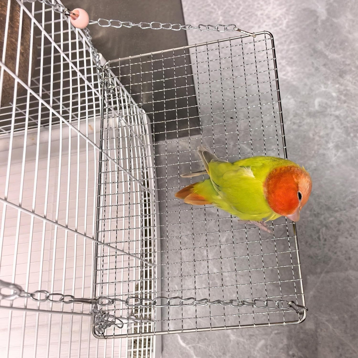 Fosrion Stainless Steel Bird Platform Perch Hanging Parrot Swing Bed