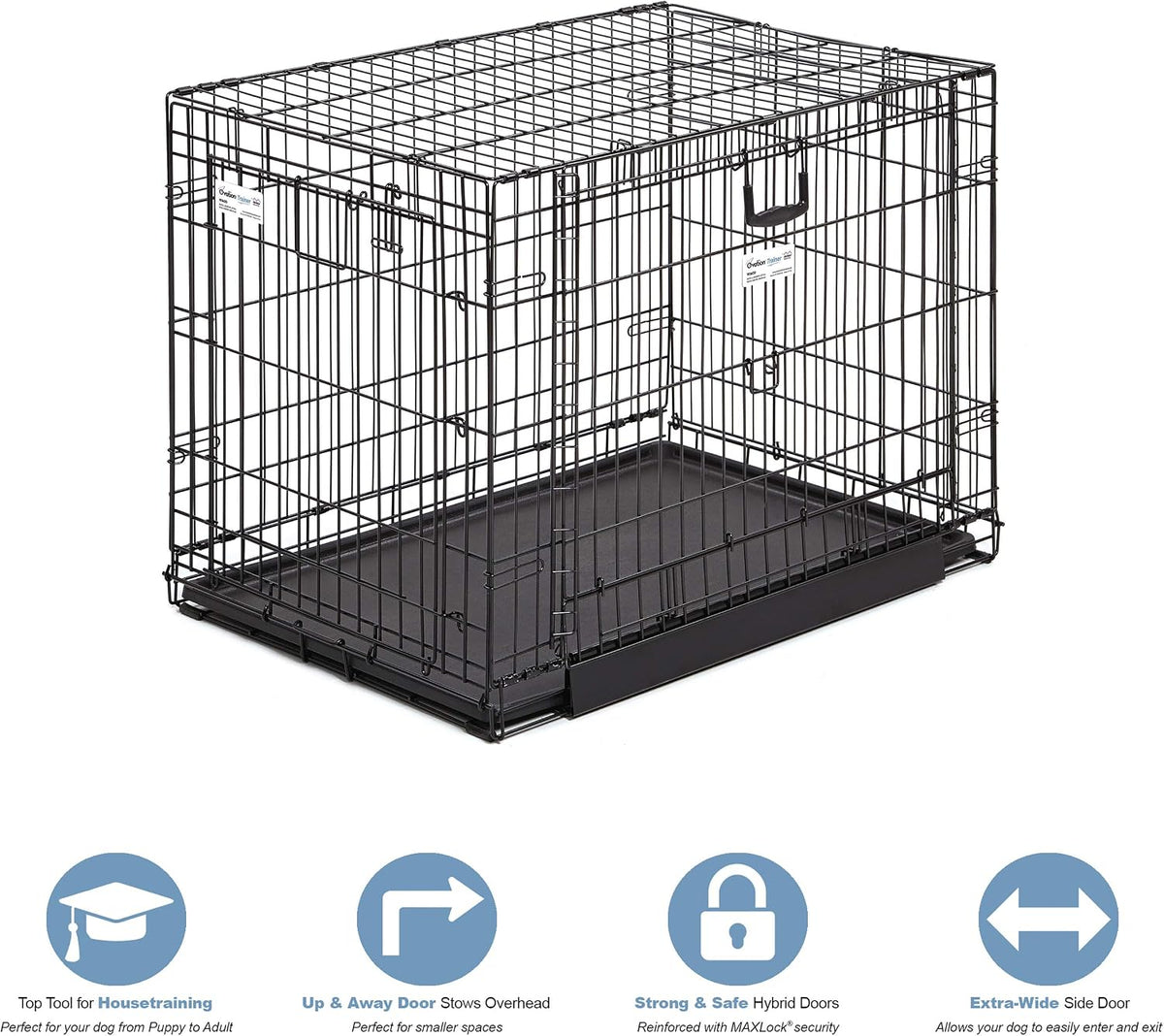 MidWest Homes for Pets Intermediate Ovation Double Door 36-inch Folding Metal Dog Crate, Front and Up & Away Side Doors, Space-Saving Design