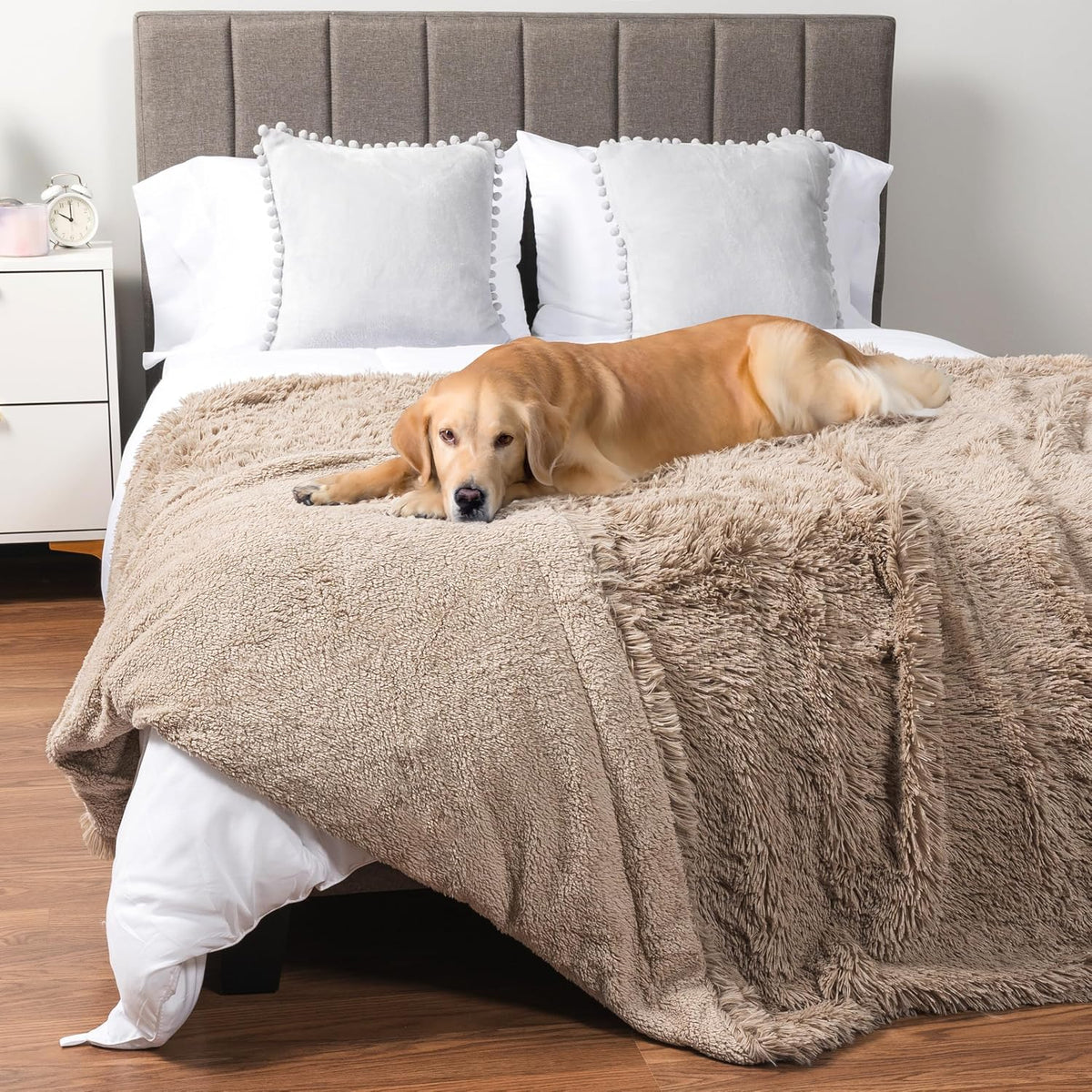 PetAmi Waterproof Dog Blanket for Couch Protector Pet Throw, 60x80 Taupe