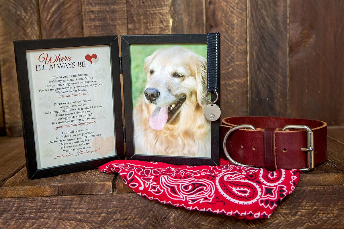 Where I'll Always Be Dog Memorial Photo Frame - Thoughtful Pet Memorial Gift (Frame with Pet Tag)