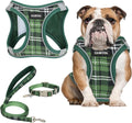 GAMUDA Small Pet Harness Collar and Leash Set, Step in No Chock No Pull Soft Mesh Adjustable Dog Vest Harnesses Plaid Reflective for Dogs Puppy Cats Kitten Rabbit (Green, L)