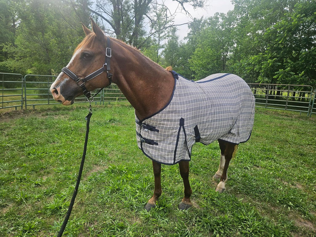Navy Beige Plaid Horse Stable Sheet with Front Gussets, Lightweight Polyester Sheet for Horses, Travel, Stable & Show Use (Navy Beige Plaid, 72")