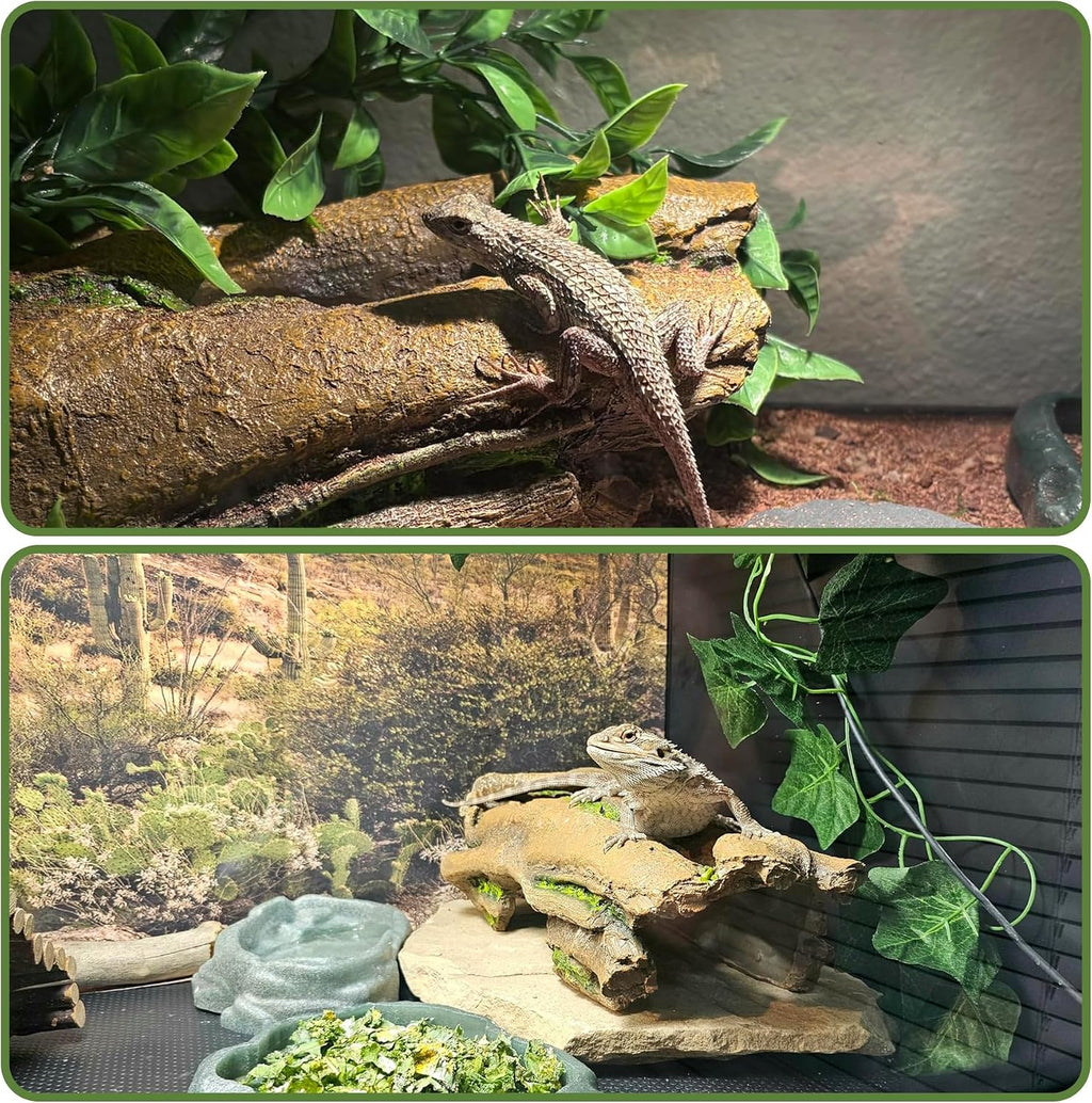 14in Reptile Hideout, Natural Terrarium Decor for Bearded Dragon, Leopard Gecko, Ball Python, Axolotl, Large Multi-Use Tank Accessories, Basking Platform & Stress-Relief Hide for Reptiles & Amphibians
