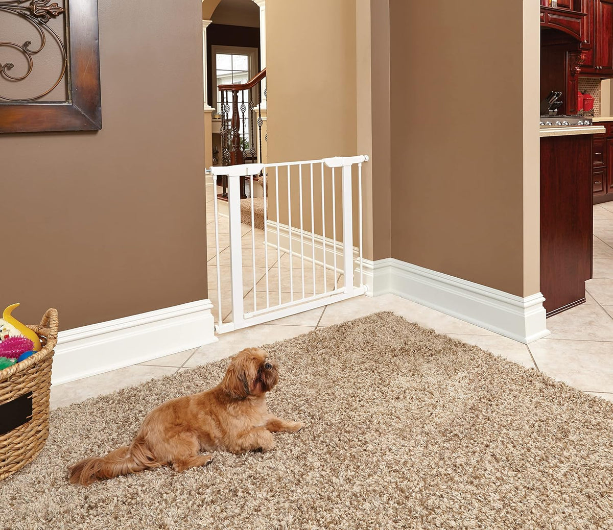 Midwest Homes 39-Inch Walk-Thru Steel Dog Gate, Expands to 38"