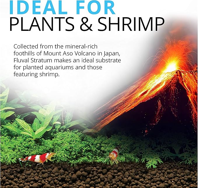 Fluval 12694 Plant and Shrimp Stratum - Image 2