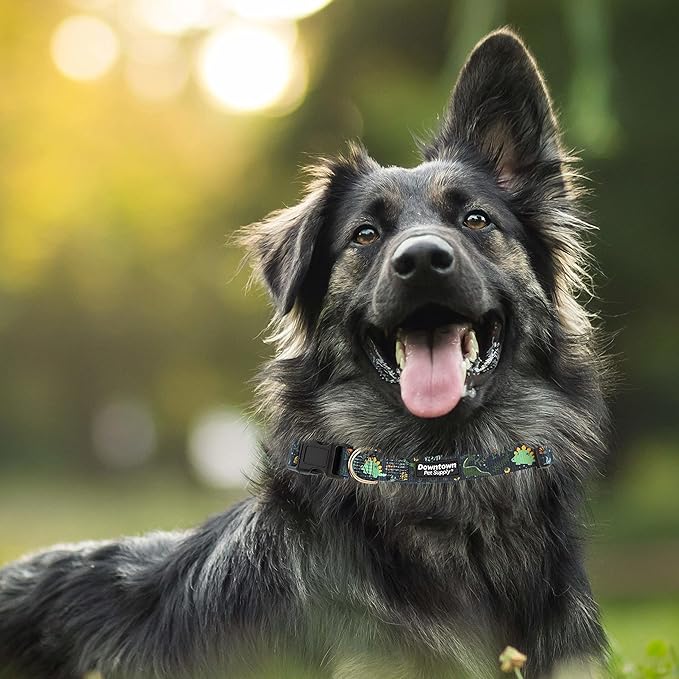 Downtown Pet Supply - Image 7