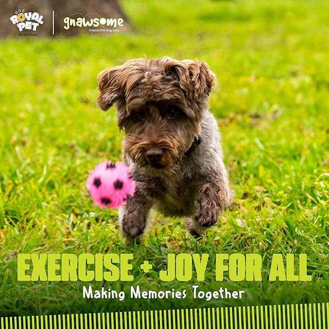 Gnawsome 2.5” Squeak & Light Soccer Ball Dog Toy - Image 7