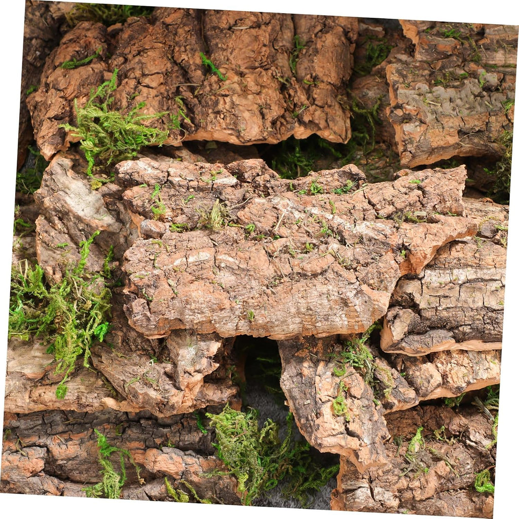 Yardwe 14Pcs Natural Cork Bark Reptile Hideout and Climbing Platform Multi-Functional Habitat Decor for Bearded Dragon Gecko Snake Terrarium Accessories