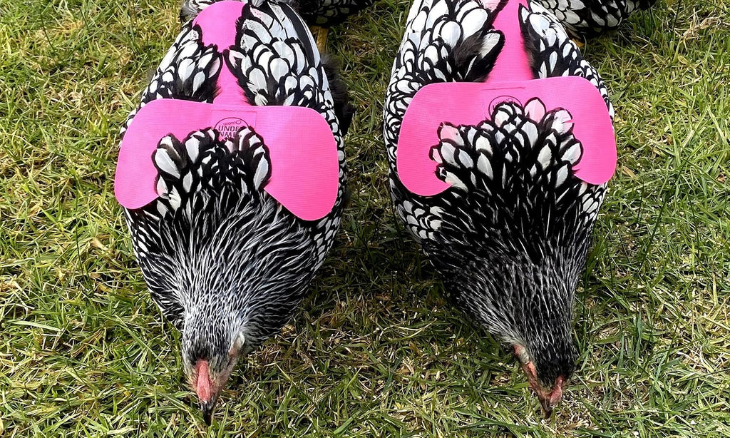 DOWN UNDER OUTDOORS 4 Pack Very Very Small PVC Chicken Saddles for Bantams
