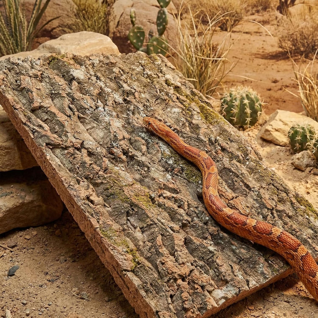 NUOBESTY 3 Pack Large Cork Bark for Reptiles, Terrarium Background Panels