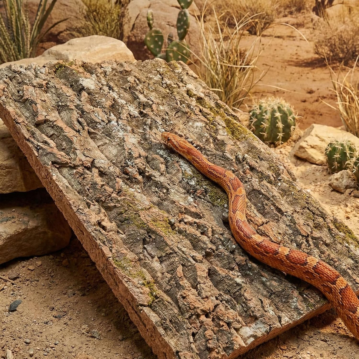 NUOBESTY 3 Pack Large Cork Bark for Reptiles, Terrarium Background Panels