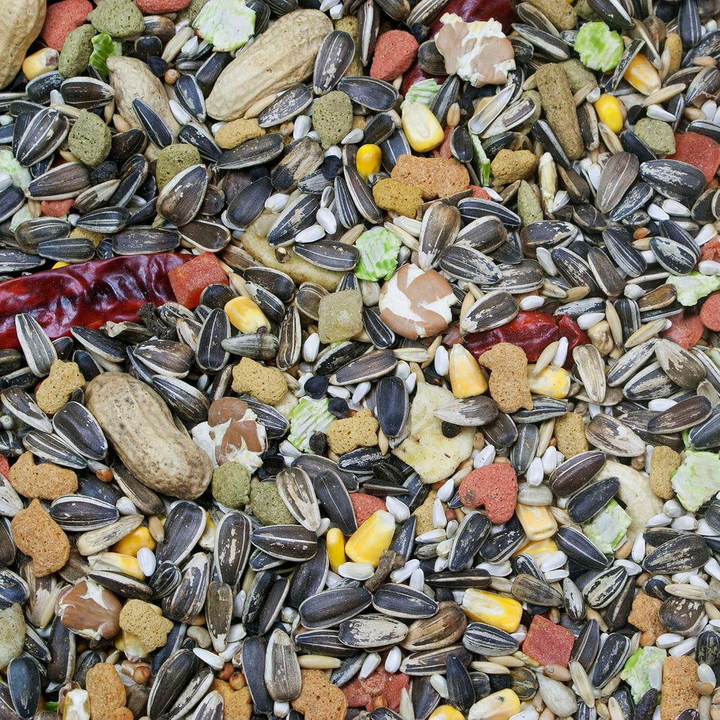 Higgins Vita Seed Parrot 3 Lbs.
