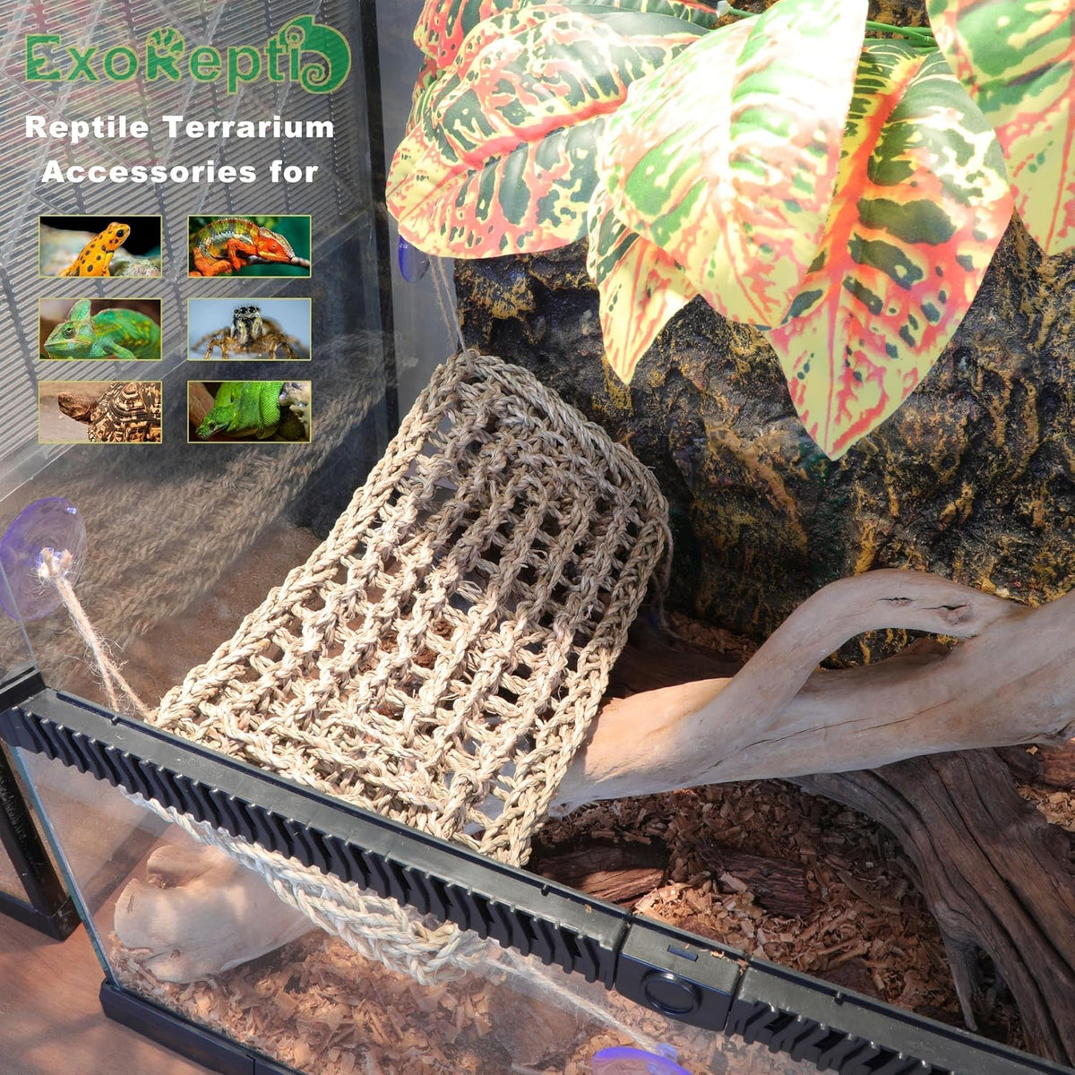 Bearded Dragon Hammock Lizard Tank Accessories Reptile Lounger Amphibian Habitat Décor for Chameleon, Geckos, Snakes, Hermit Crab, Lguana Reptiles, Tortoises