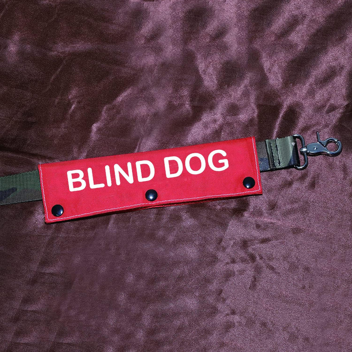 Blind Dog Sleeve - Visual Impairment Dog Leash Wrap Alert ID Patch Tag Pet Birthday Gift
