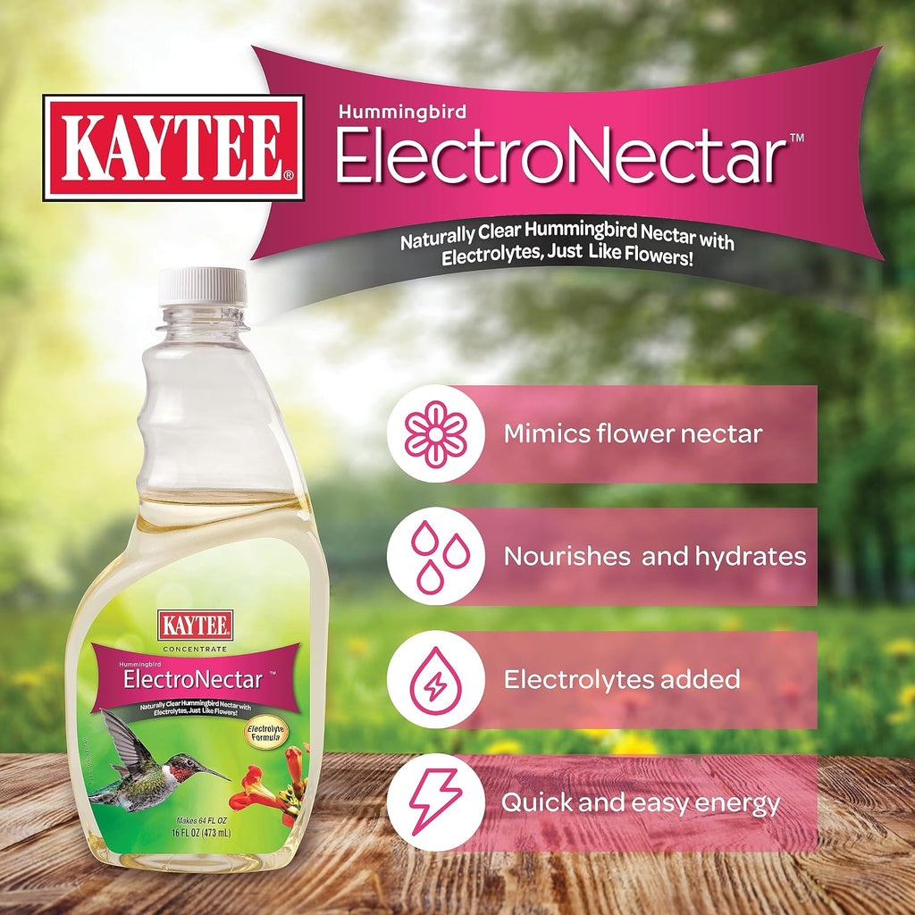 Kaytee Hummingbird ElectroNectar Wild Bird Food, 16 oz Concentrate 2 Pack, Makes 128 oz of ElectroNectar
