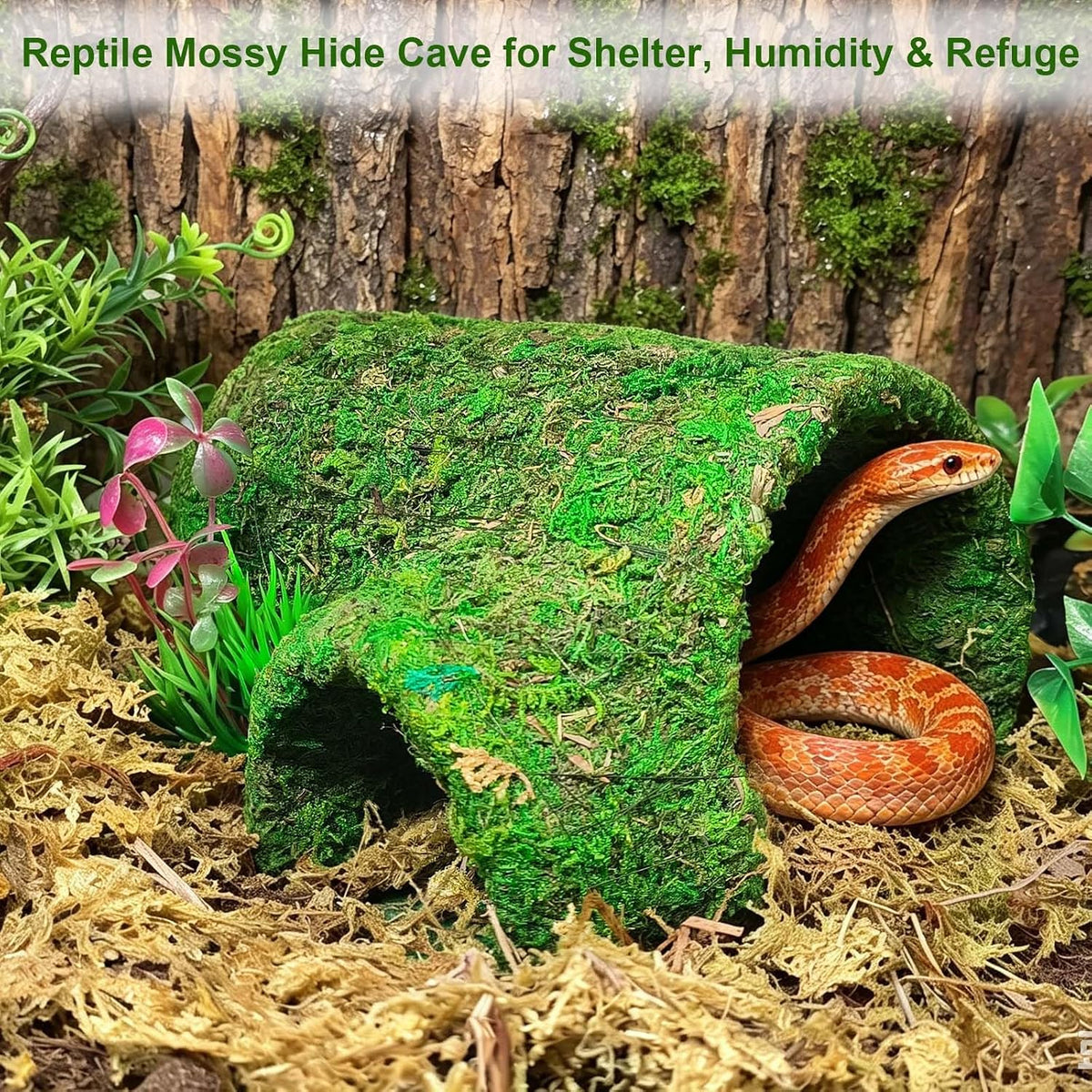 kathson Leopard Gecko Hide,Reptile Hideout Climbing Moss Caves Snake Hide