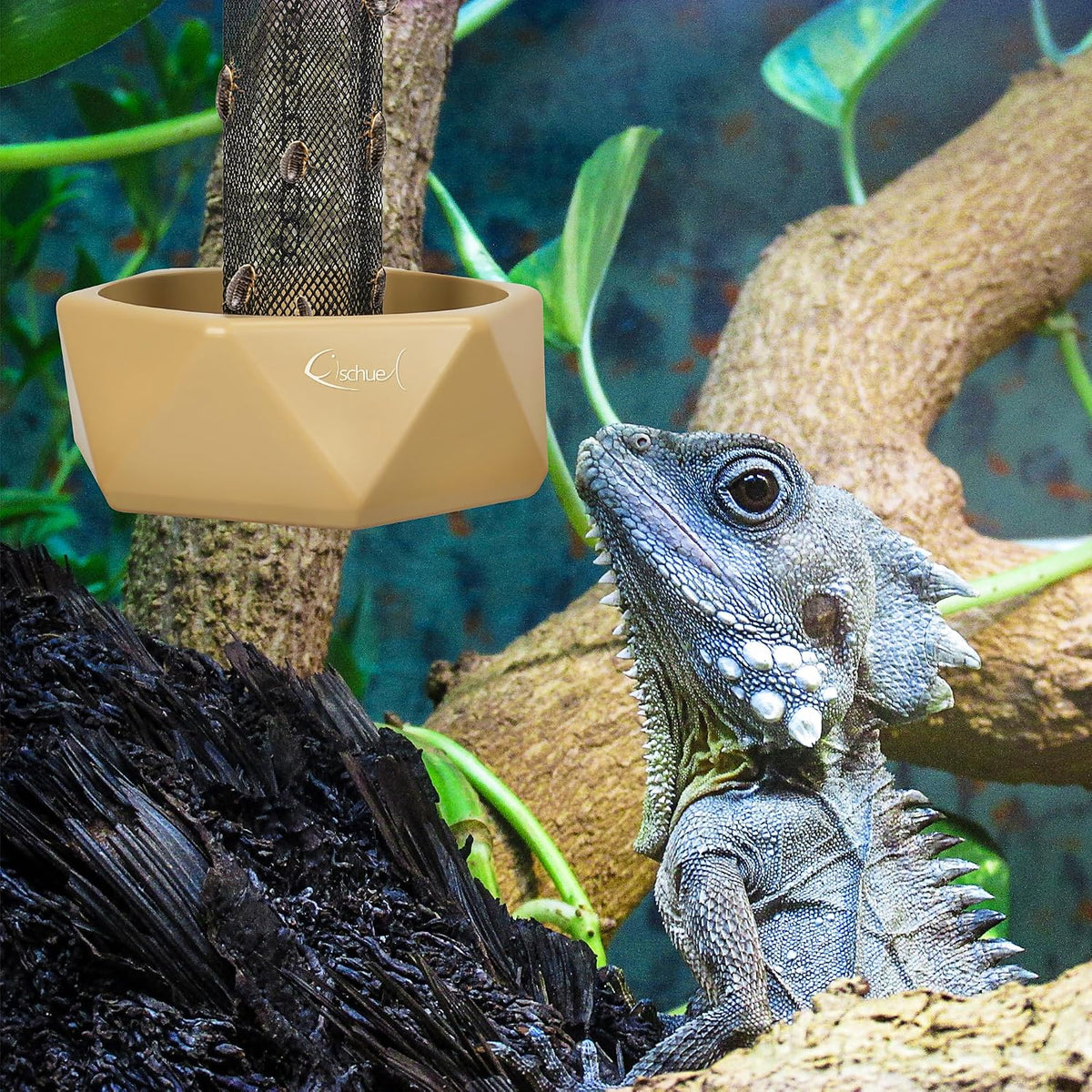 Chameleon Feeding Bowl, Hanging Insect Feeder with a Pillar for Prey to Climb Up, Suitable for Chameleon, Bearded Dragon, Lizard, Iguana, Gecko(Khaki)