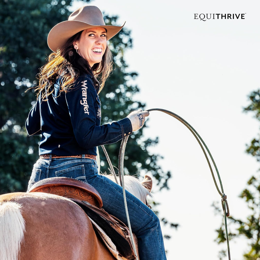 Equithrive Original Joint Powder Horse Supplement, Molasses Flavor, 2 lbs