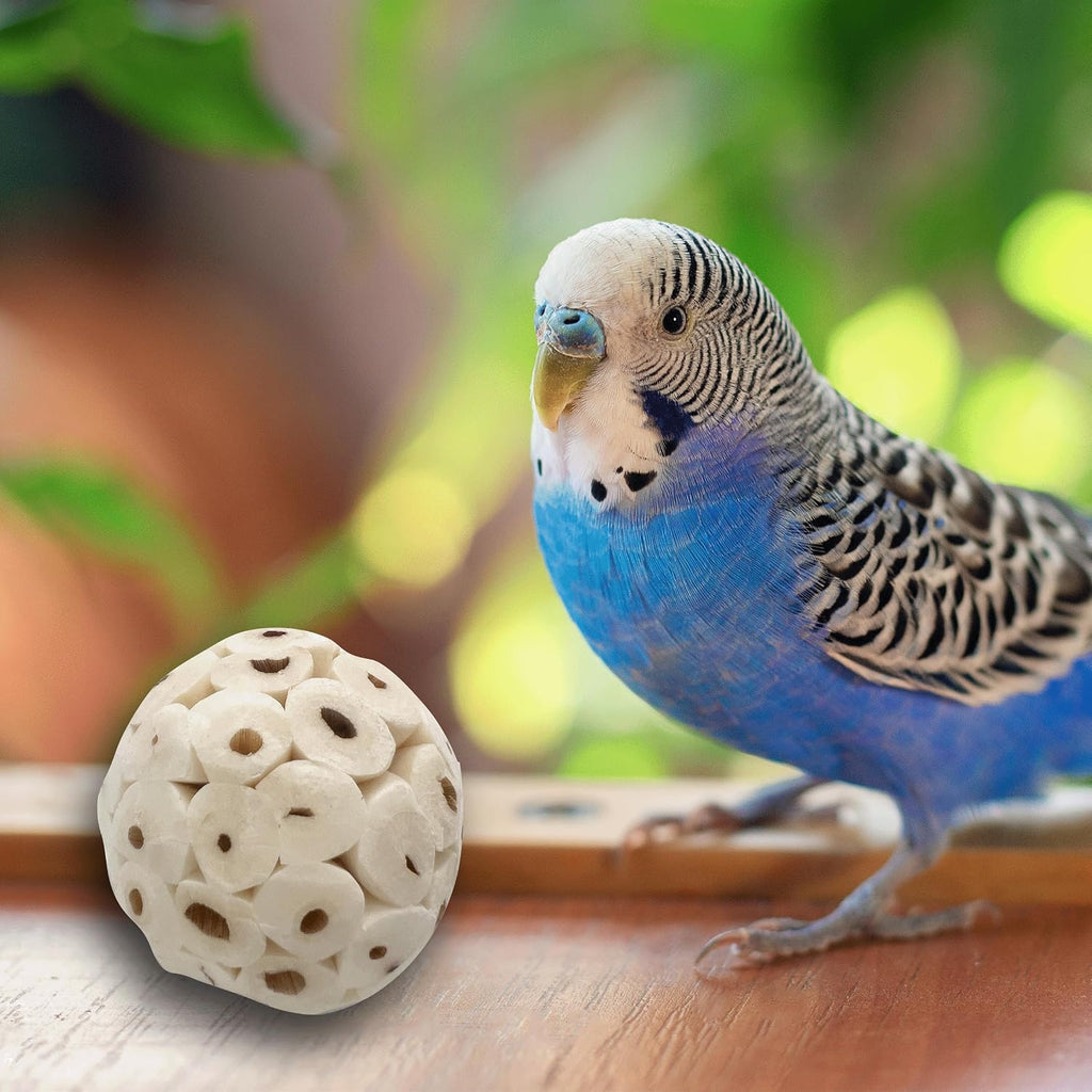 5122 Mini Sola Balls Pk6 - Natural Bird Foraging Chew Toys